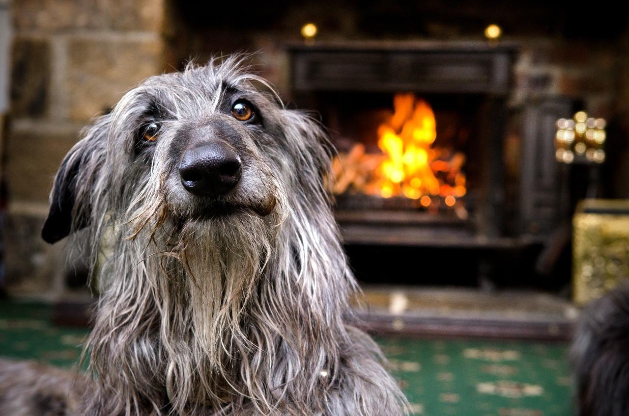 The Boars Head Hotel Long Preston ภายนอก รูปภาพ